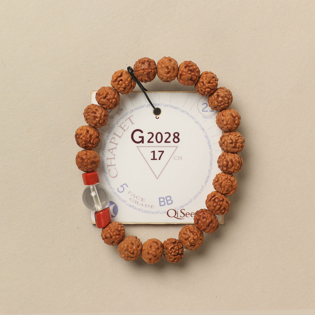 Crystal Chaplet (21 Rudraksha • 17 cm Fit) | Class BB | No. G2028