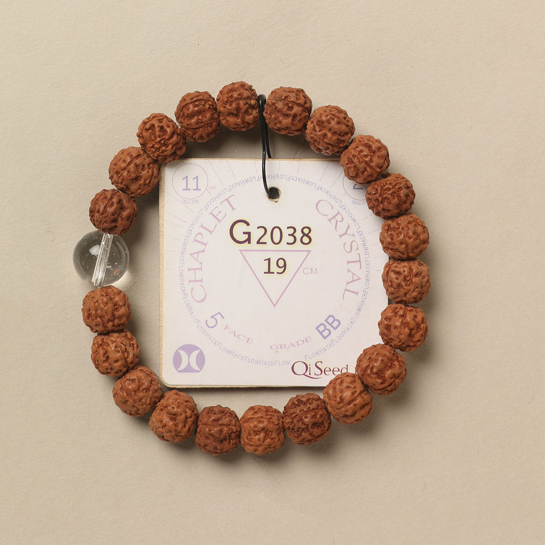 Crystal Chaplet (21 Rudraksha • 19 cm Fit) | Class BB | No. G2038