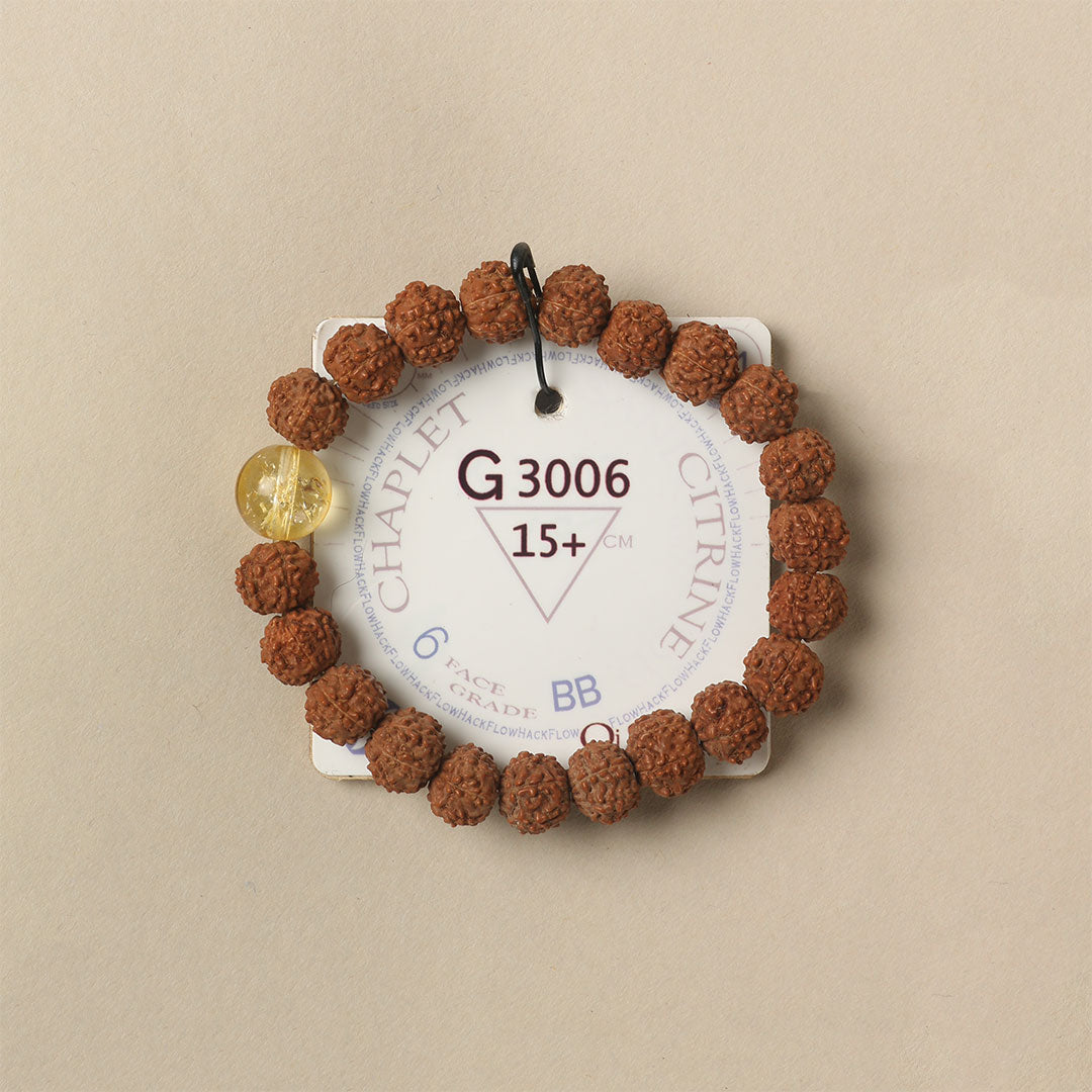 Citrine Chaplet (21 Rudraksha • 14+ cm Fit) | Class BB | No. G3006
