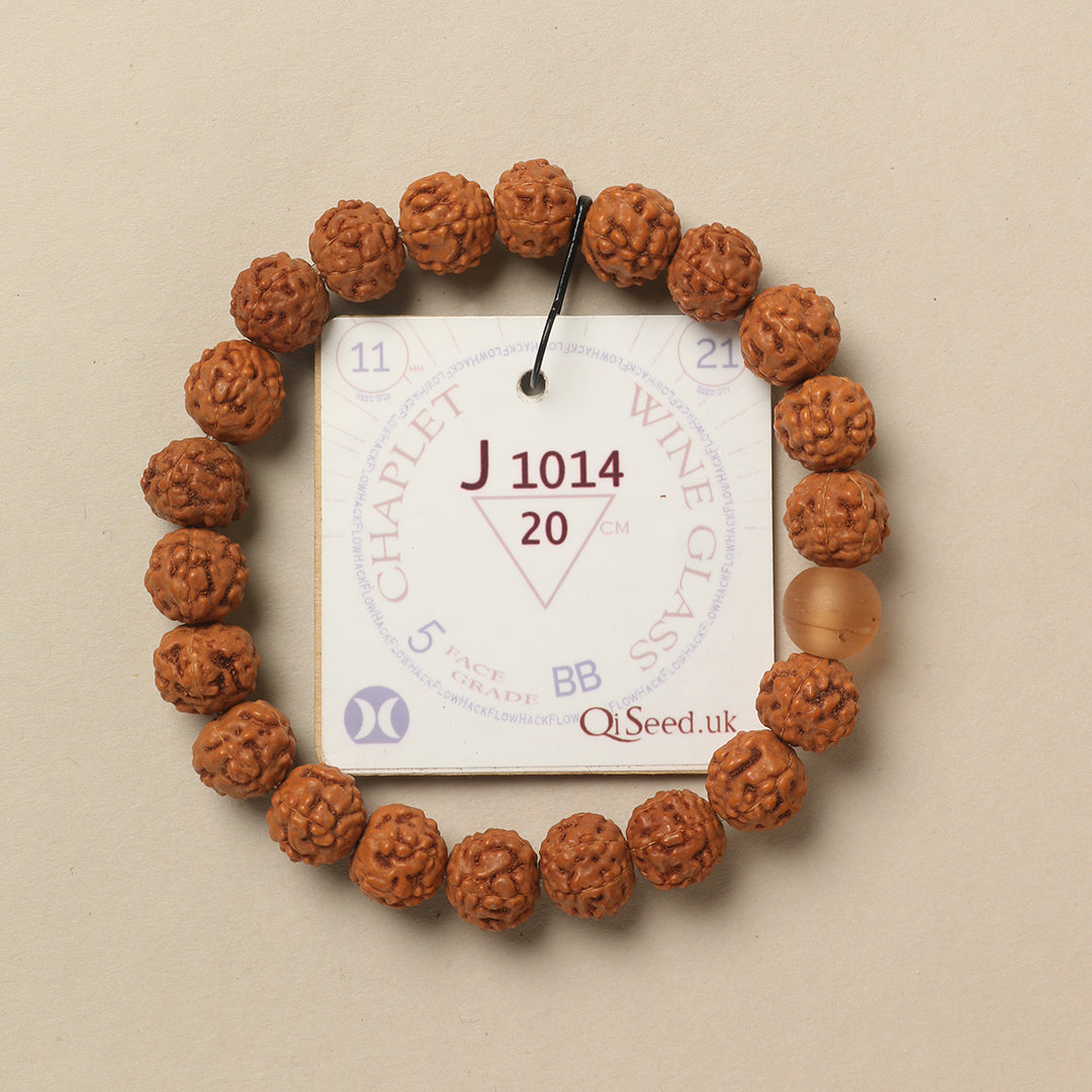 Wine Glass Chaplet (21 Rudraksha • 20 cm Fit) | Class BB | No. J1014