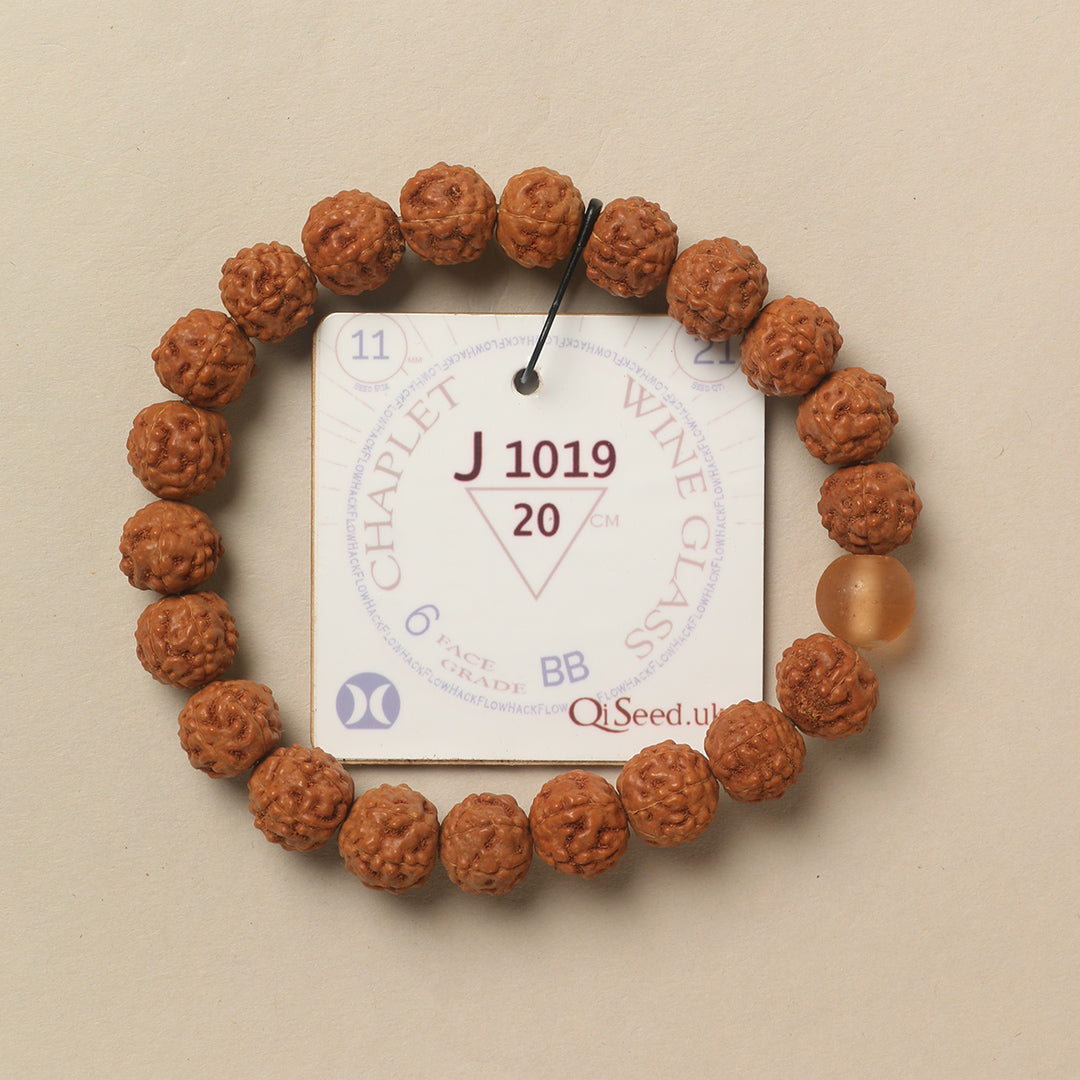 Wine Glass Chaplet (21 Rudraksha • 20 cm Fit) | Class BB | No. J1019