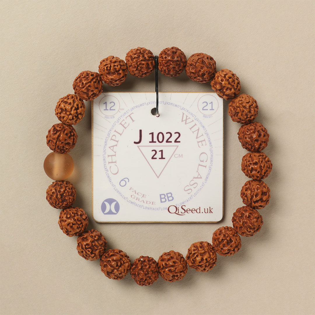 Wine Glass Chaplet (21 Rudraksha • 21 cm Fit) | Class BB | No. J1022