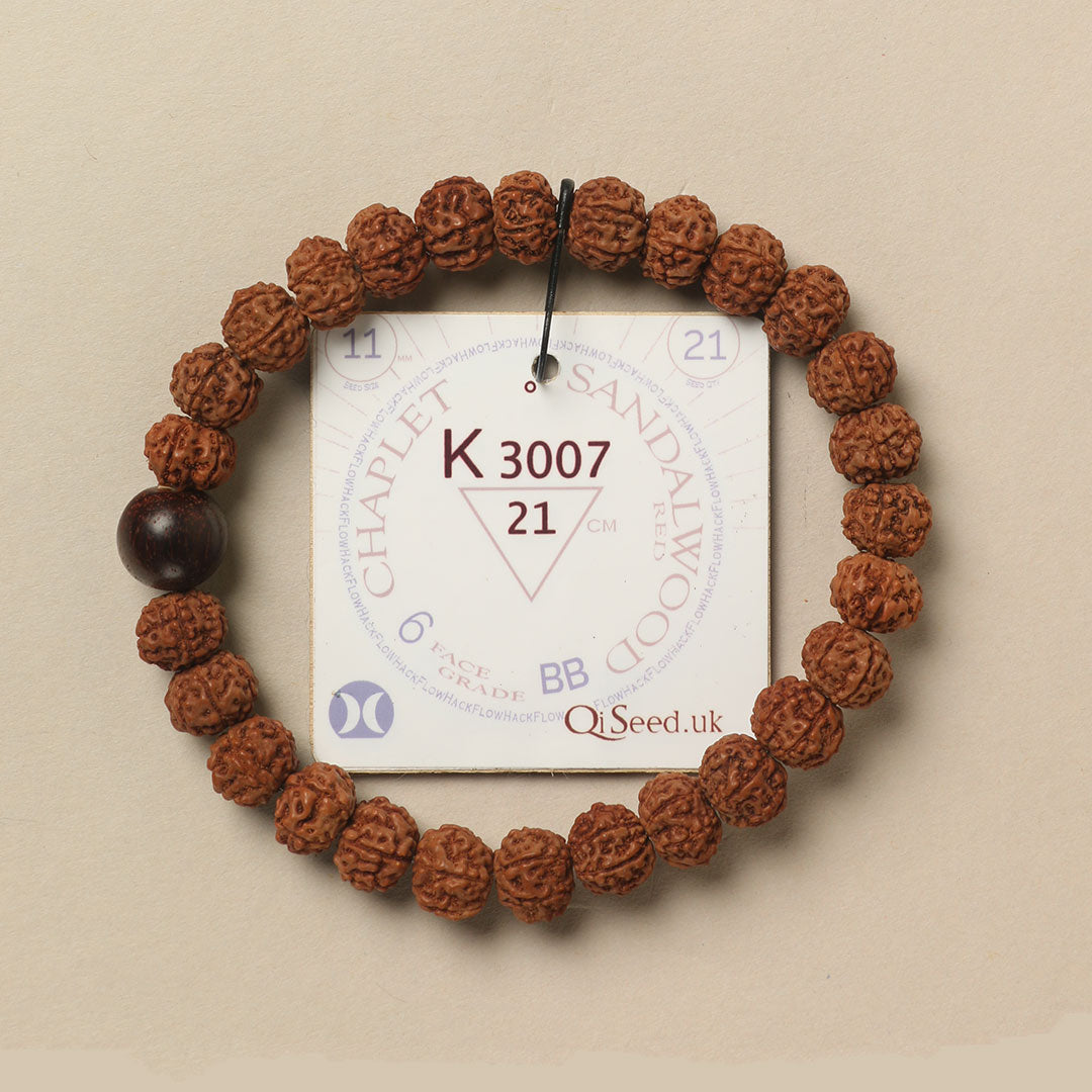 Red Sandalwood Chaplet (21 Rudraksha • 21 cm Fit) | Class BB | No. K3007