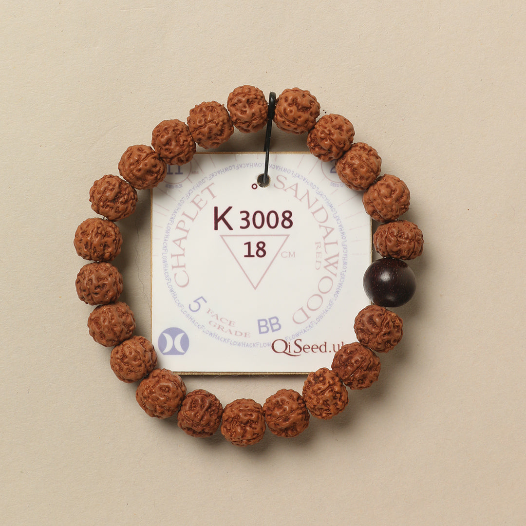 Red Sandalwood Chaplet (21 Rudraksha • 18 cm Fit) | Class BB | No. K3008
