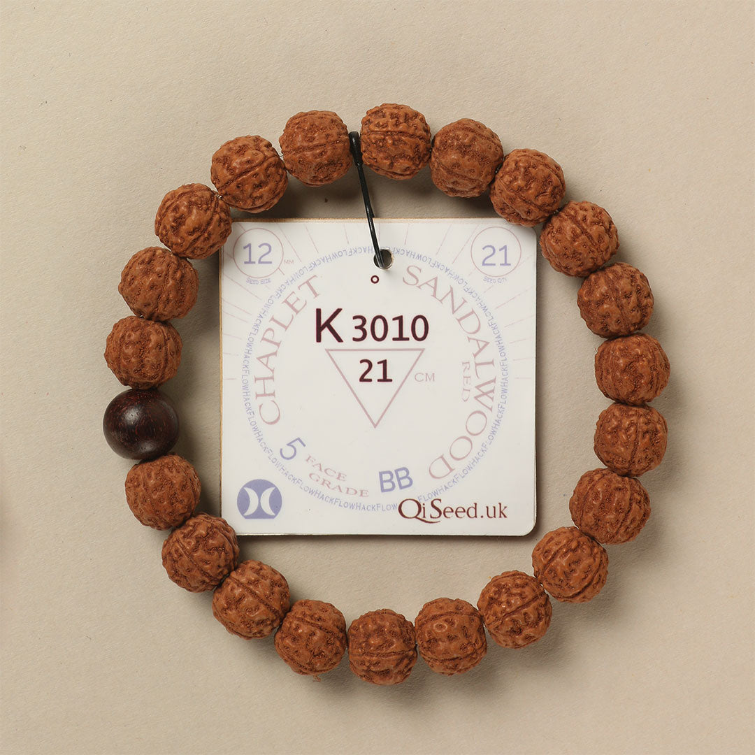 Red Sandalwood Chaplet (21 Rudraksha • 21 cm Fit) | Class BB | No. K3010
