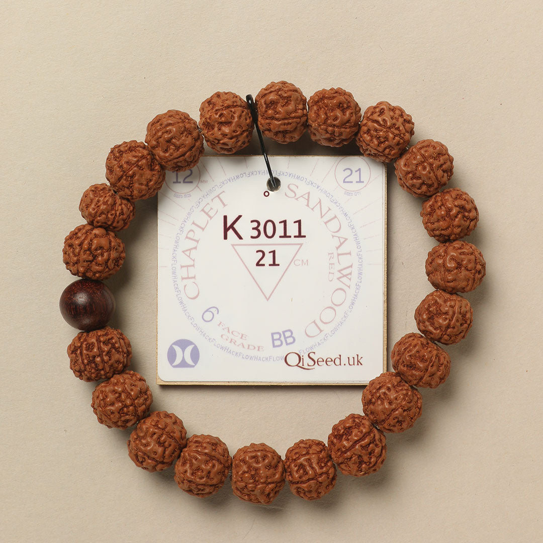Red Sandalwood Chaplet (21 Rudraksha • 21 cm Fit) | Class BB | No. K3011