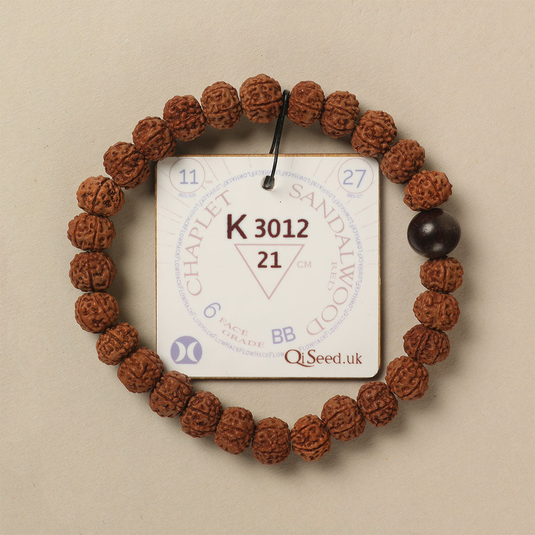 Red Sandalwood Chaplet (27 Rudraksha • 21 cm Fit) | Class BB | No. K3012