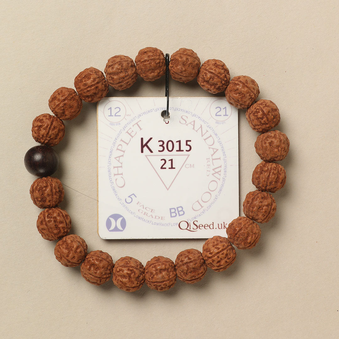 Red Sandalwood Chaplet (21 Rudraksha • 21 cm Fit) | Class BB | No. K3015