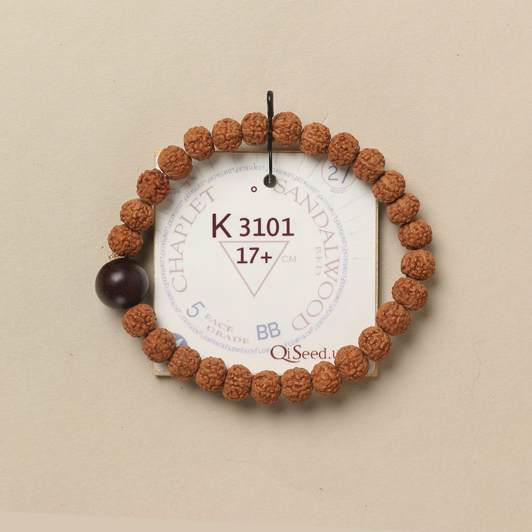 Red Sandalwood Chaplet (27 Rudraksha • 17+ cm Fit) | Class BB | No. K3101
