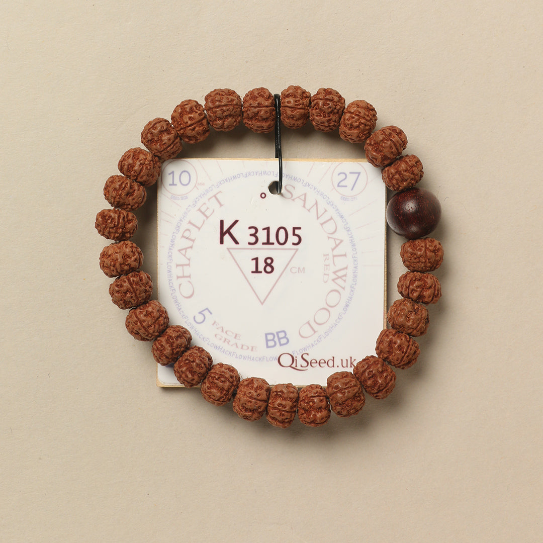 Red Sandalwood Chaplet (27 Rudraksha • 18 cm Fit) | Class BB | No. K3105