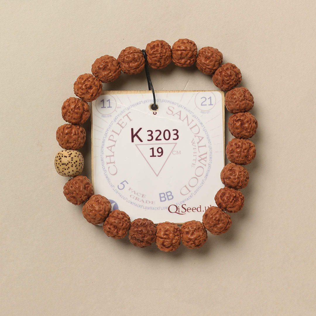 White Sandalwood Chaplet (21 Rudraksha • 19 cm Fit) | Class BB | No. K3203