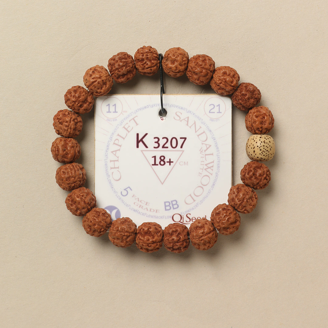 White Sandalwood Chaplet (21 Rudraksha • 18+ cm Fit) | Class BB | No. K3207