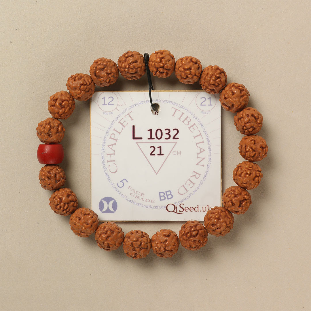 Tibetian Red Chaplet (21 Rudraksha • 20 cm Fit) | Class BB | No. L1032