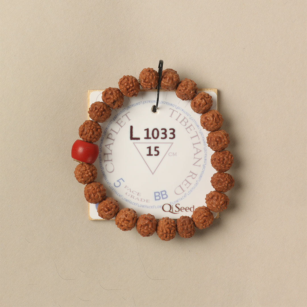 Tibetian Red Chaplet (21 Rudraksha • 15 cm Fit) | Class BB | No. L1033