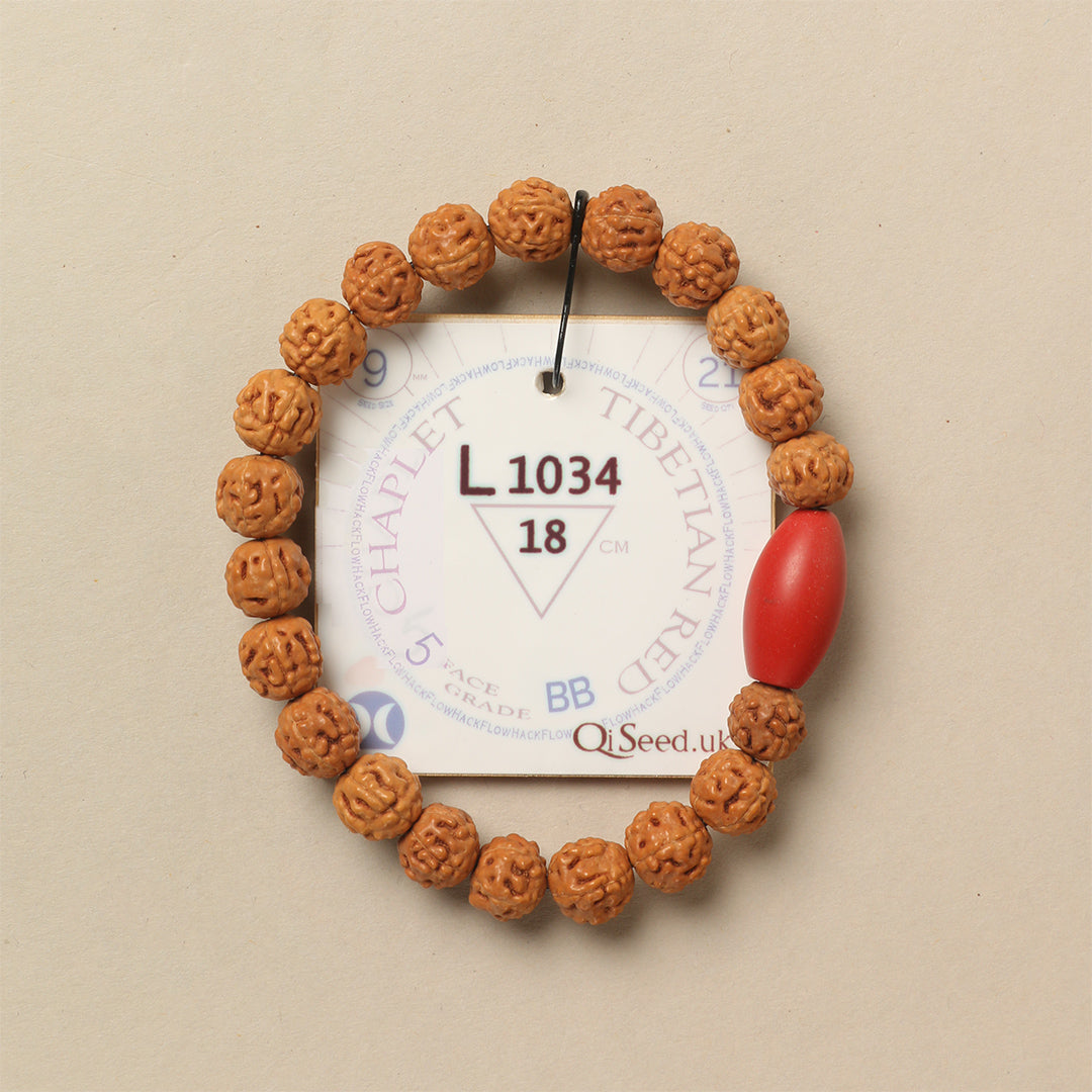 Tibetian Red Chaplet (21 Rudraksha • 18 cm Fit) | Class BB | No. L1034