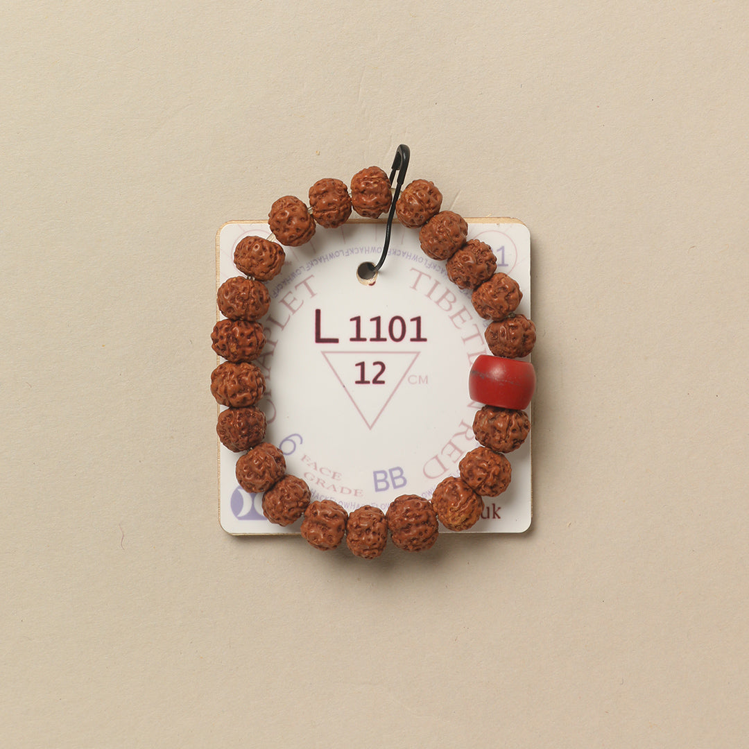 Tibetian Red Chaplet (21 Rudraksha • 12 cm Fit) | Class BB | No. L1101