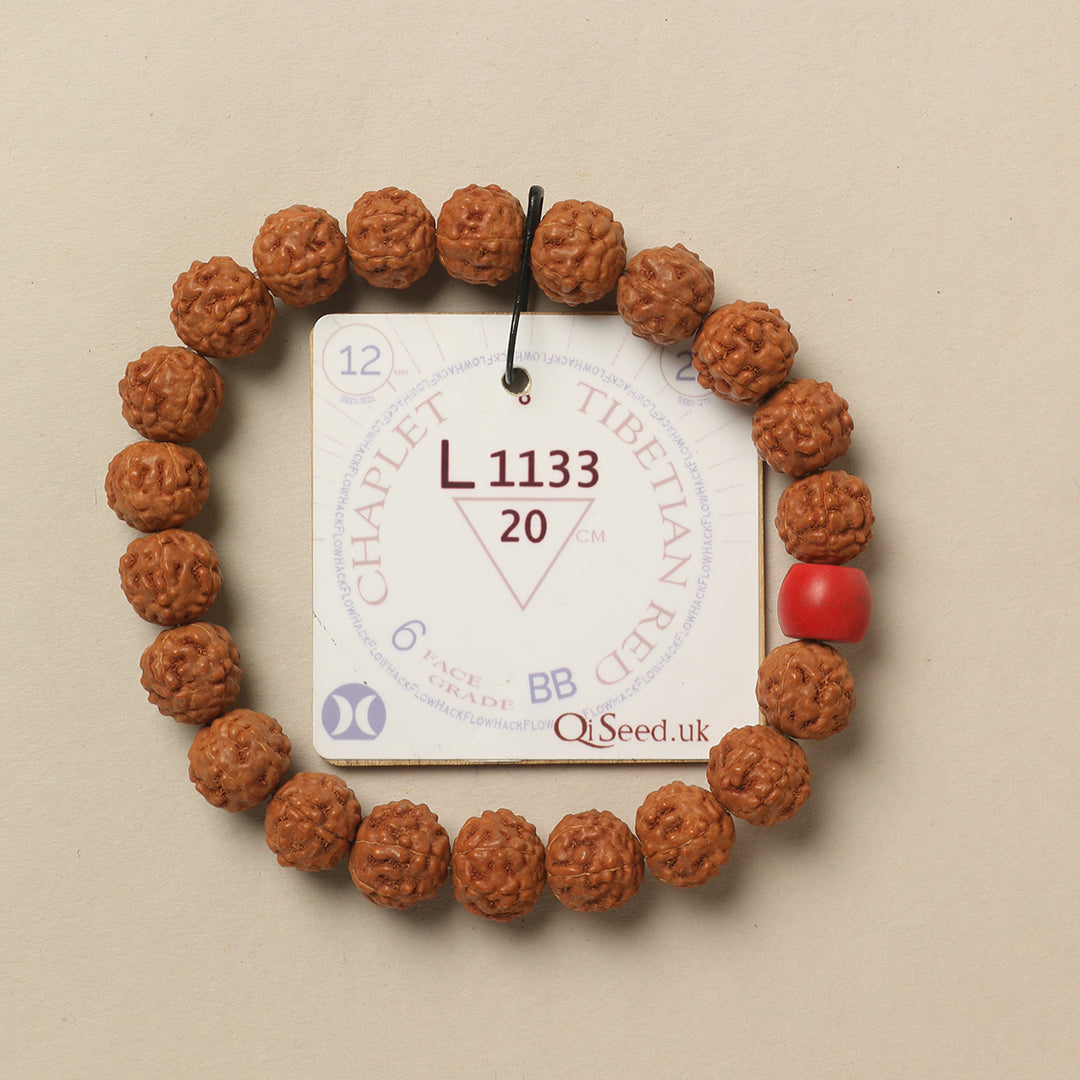 Tibetian Red Chaplet (21 Rudraksha • 20 cm Fit) | Class BB | No. L1133