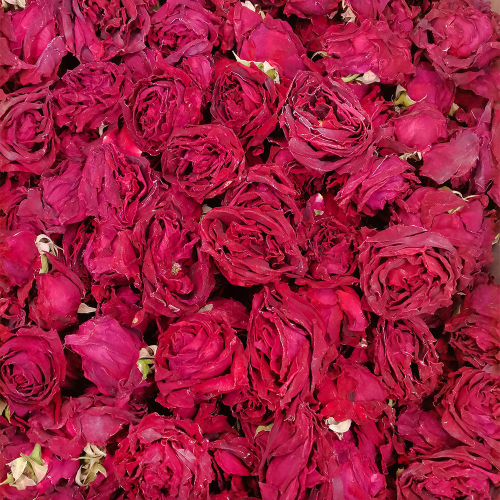 Dark Red Rose Crown — Rosa chinensis Tea in Matte White Sanctuary Tin