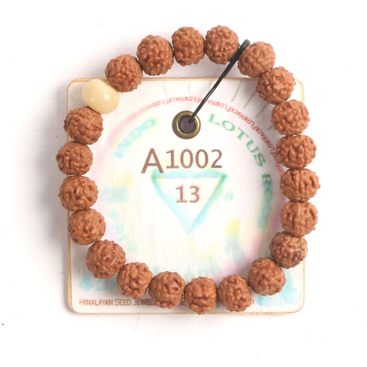 A1002 - Lotus Root Chaplet 13 cm XS+