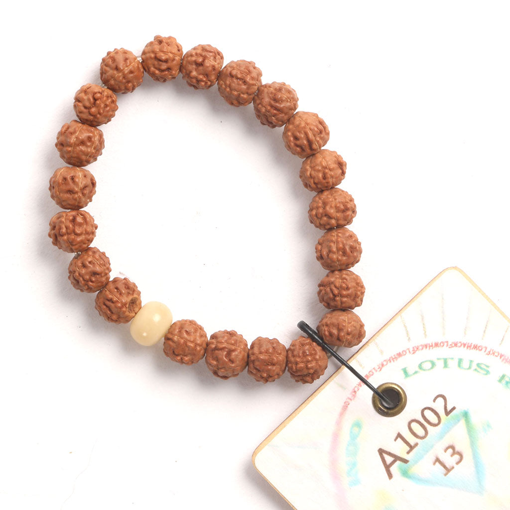Lotus Root Chaplet (21 Rudraksha • 13 cm Fit) | Class BB | No. A1002