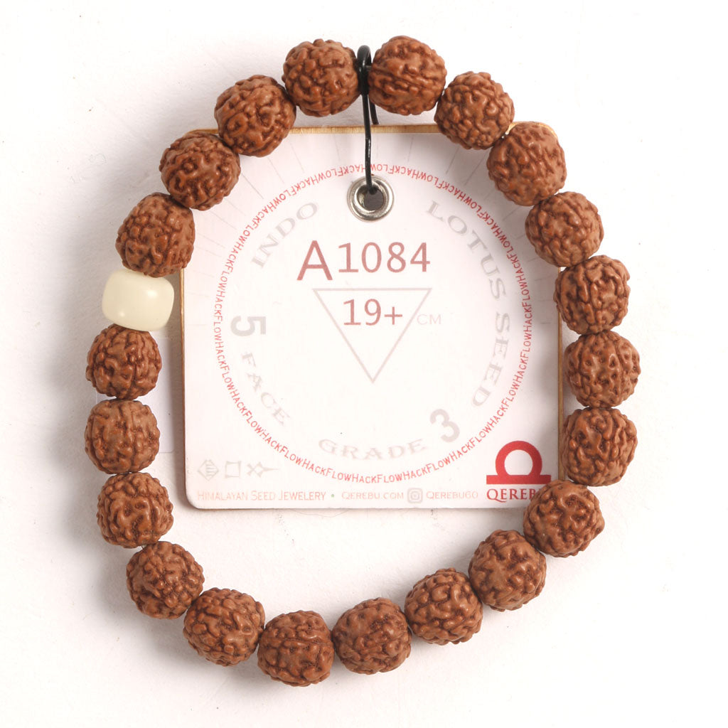 A1084 - Lotus Root Chaplet 19+ cm L+