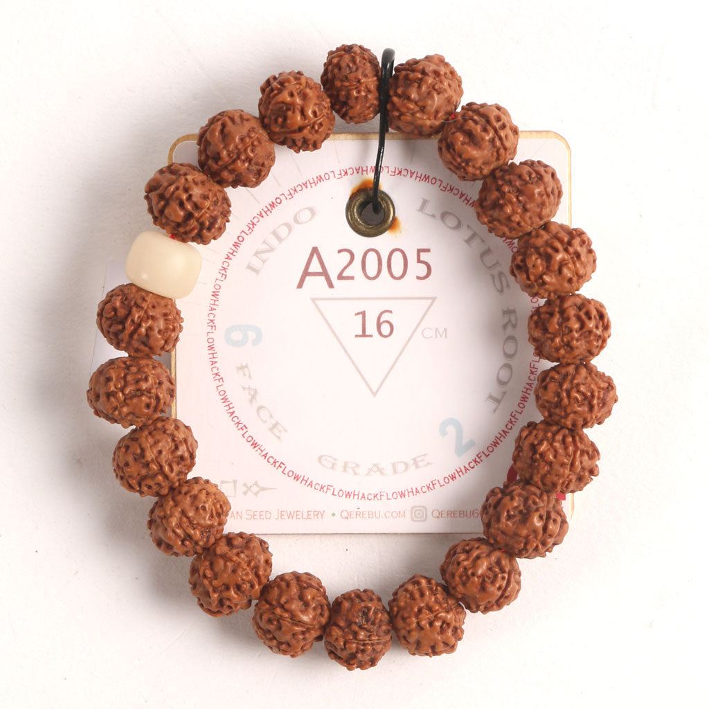 A2005 - Lotus Root Chaplet 16 cm M