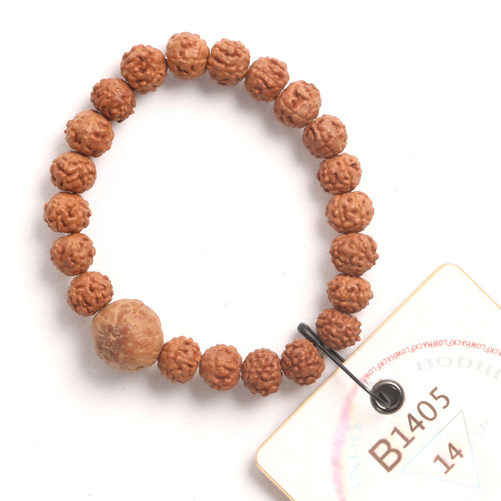 Bodhi Seed Chaplet (21 Rudraksha • 14 cm Fit) | Class BB | No. B1405