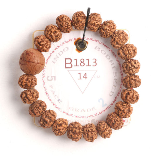B1813 - Bodhi Seed Chaplet 14 cm S