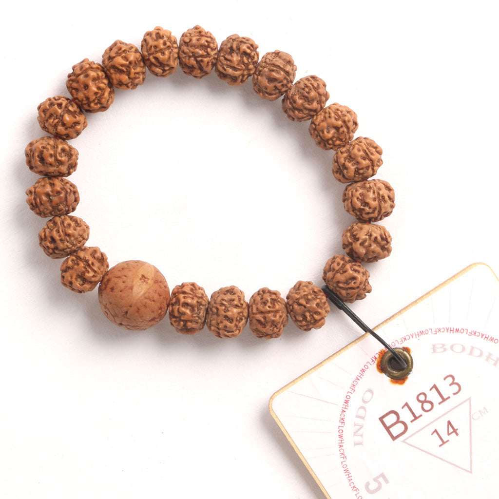 Bodhi Seed Chaplet (21 Rudraksha • 14 cm Fit) | Class BB | No. B1813