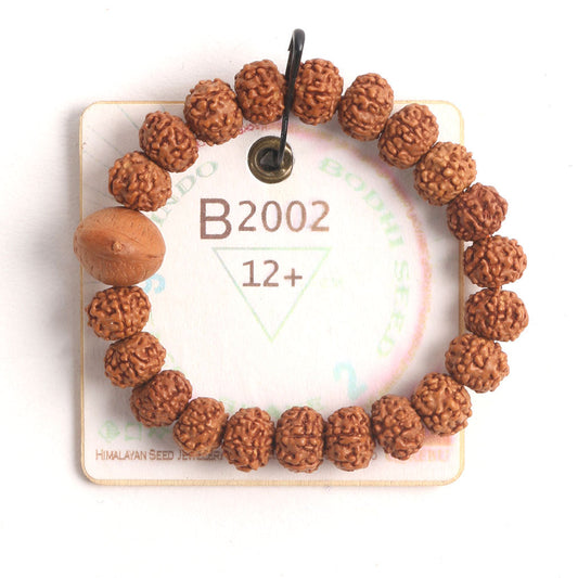B2002 - Bodhi Seed Chaplet 12+ cm XS