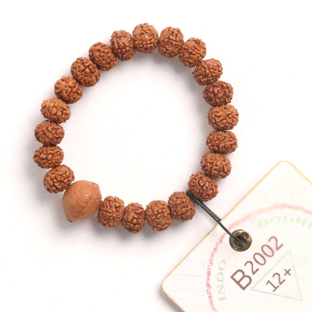 Bodhi Seed Chaplet (21 Rudraksha • 12+ cm Fit) | Class BB | No. B2002