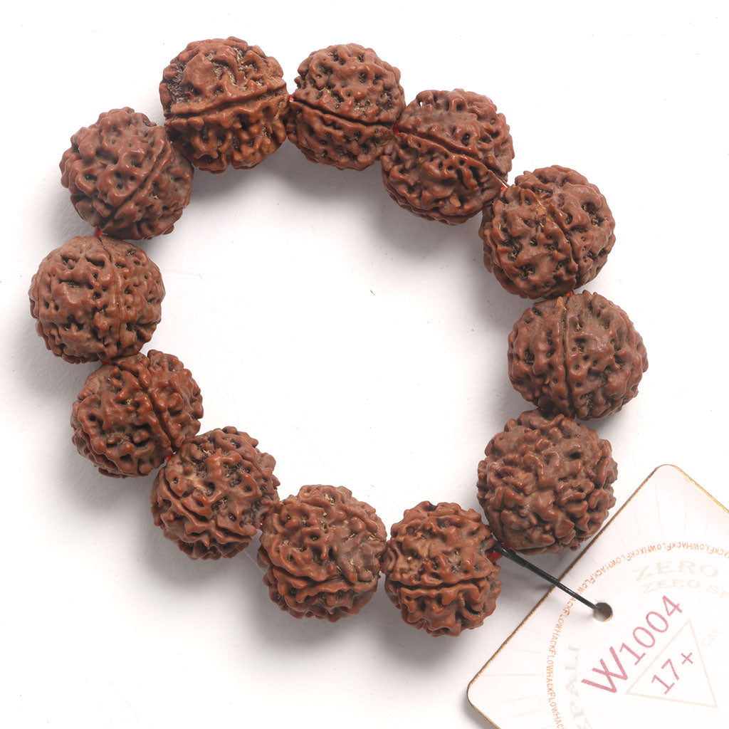 ZeroG Oath Ring (12 Rudraksha • 17+ cm Fit) | Class B | No. P1004