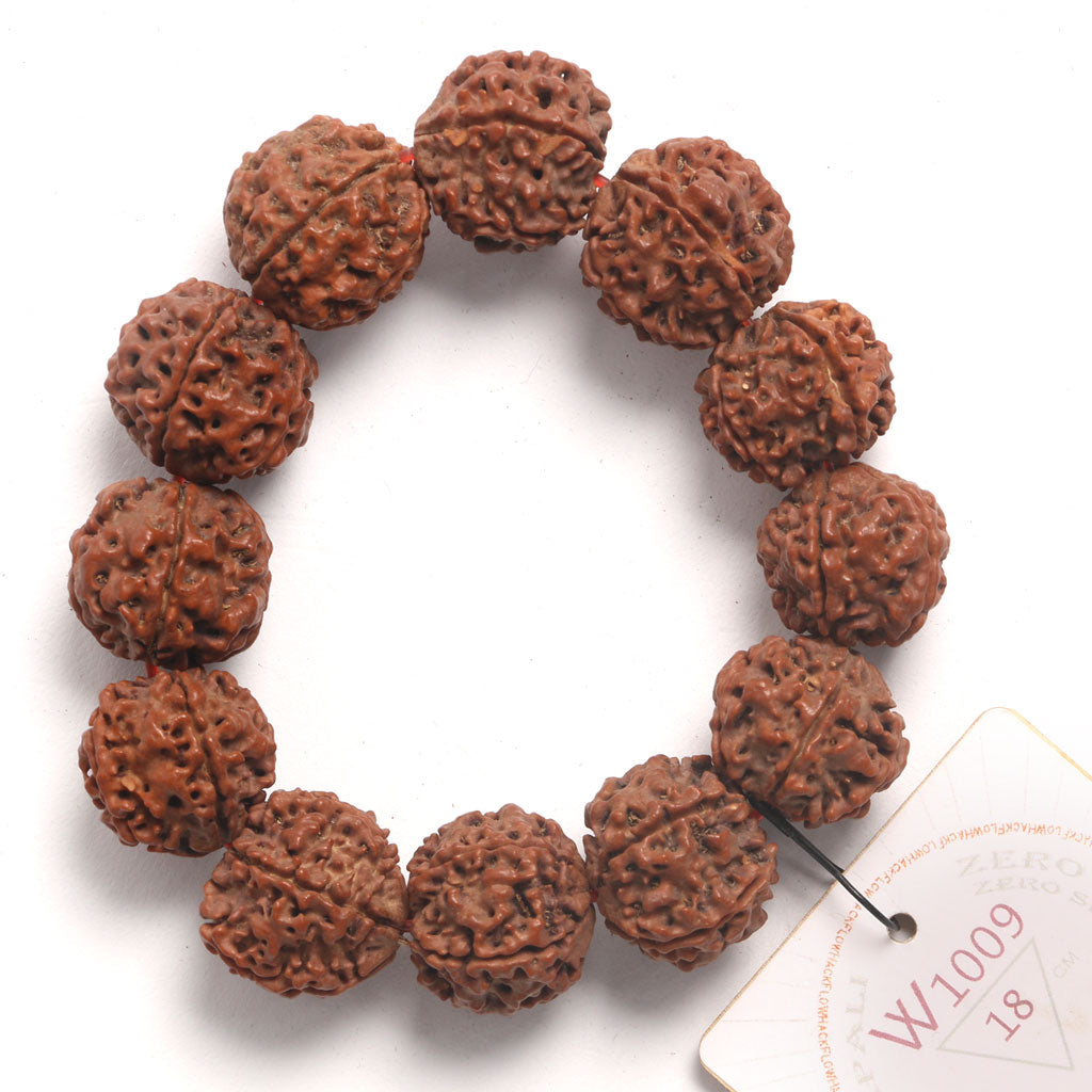 ZeroG Oath Ring (12 Rudraksha • 18 cm Fit) | Class B | No. P1009