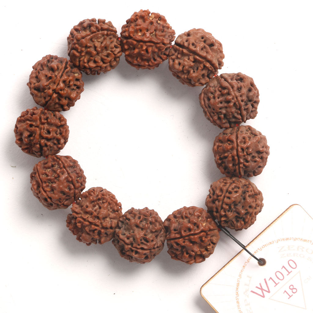 ZeroG Oath Ring (12 Rudraksha • 18 cm Fit) | Class B | No. P1010