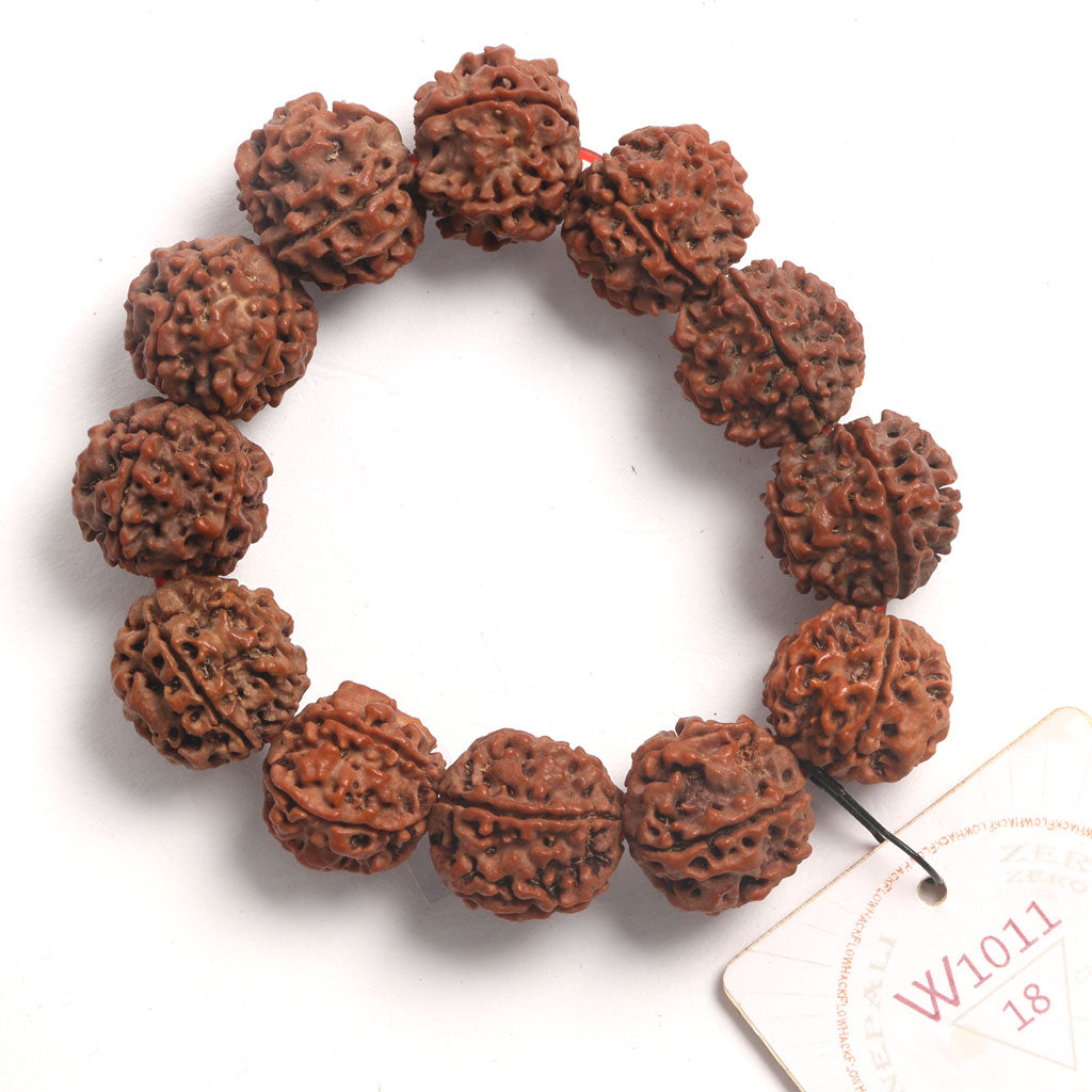 ZeroG Oath Ring (12 Rudraksha • 18 cm Fit) | Class B | No. P1011