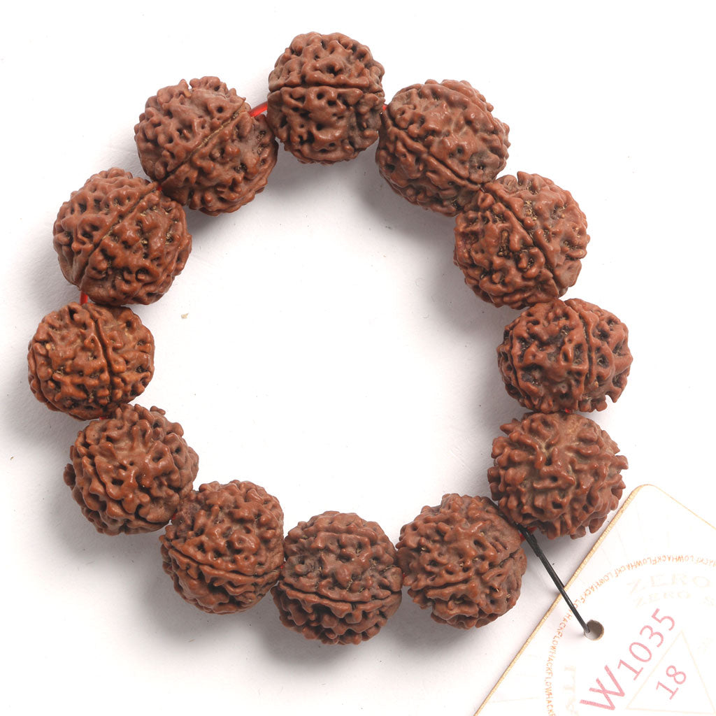 ZeroG Oath Ring (12 Rudraksha • 18 cm Fit) | Class B | No. P1035
