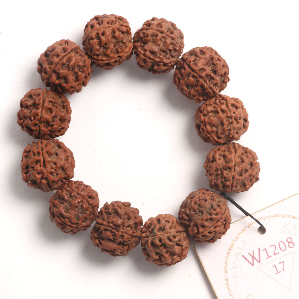 ZeroG Oath Ring (12 Rudraksha • 17 cm Fit) | Class BB | No. P1043