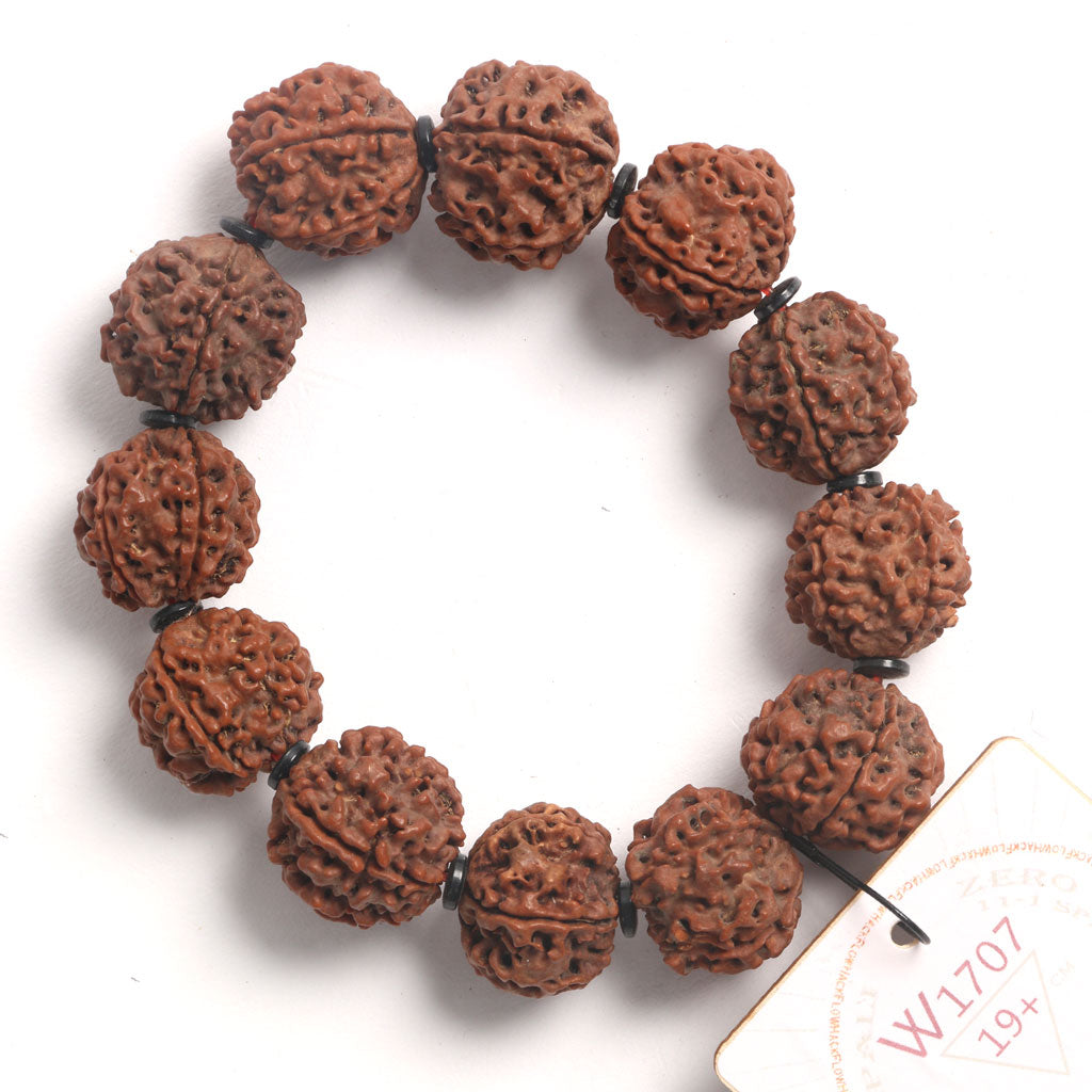 ZeroG Oath Ring (12 Rudraksha • 19+ cm Fit) | Class B | No. P1107
