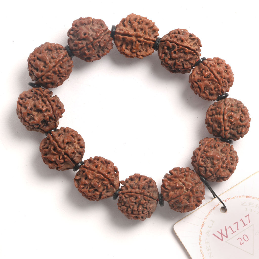 ZeroG Oath Ring (12 Rudraksha • 20 cm Fit) | Class B | No. P1117
