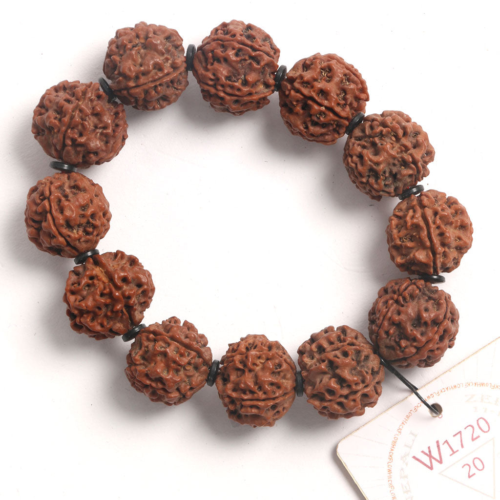 ZeroG Oath Ring (12 Rudraksha • 20 cm Fit) | Class B | No. P1120