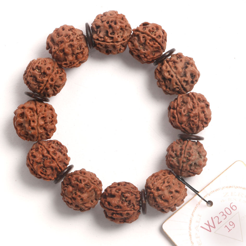 ZeroG Oath Ring (12 Rudraksha • 19 cm Fit) | Class B | No. P1306
