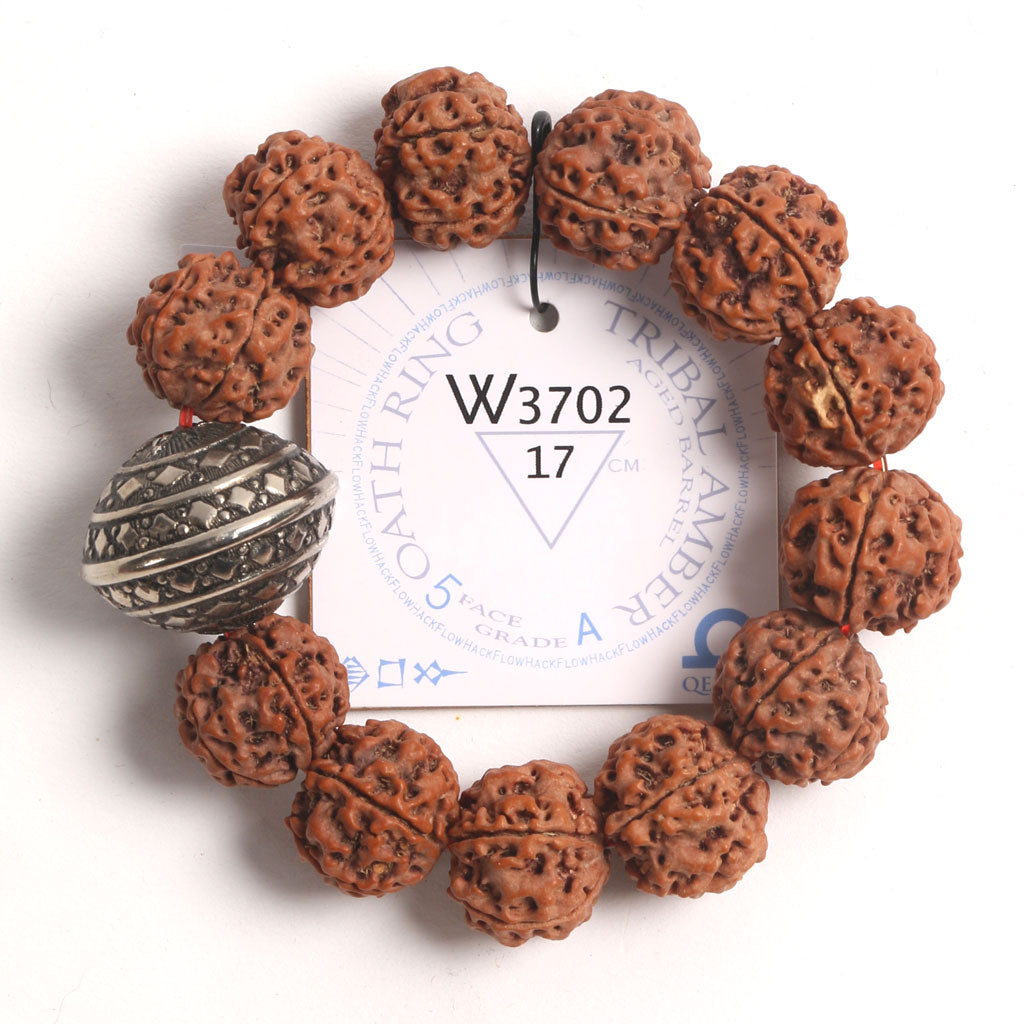 Silver Metal Oath Ring (12 Rudraksha • 17 cm Fit) | Class BB | No. P3002