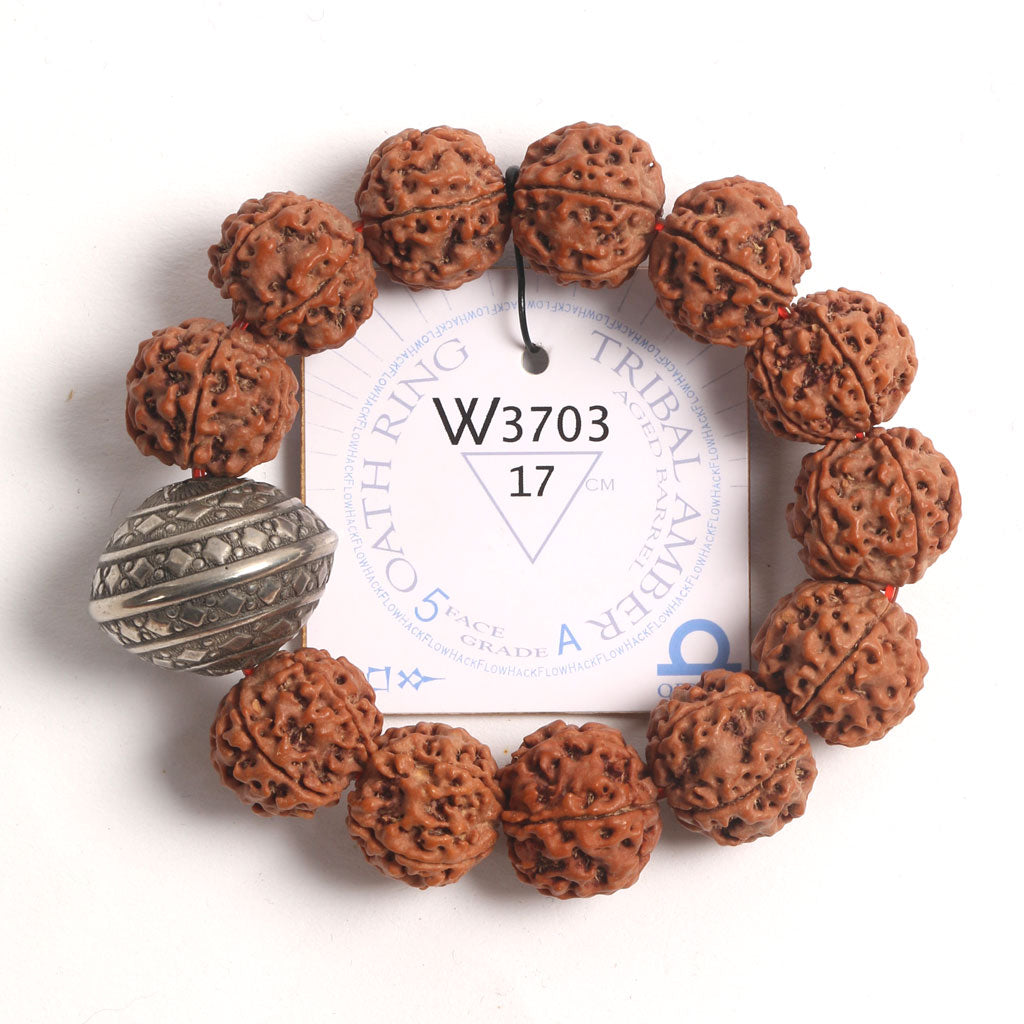Silver Metal Oath Ring (12 Rudraksha • 17 cm Fit) | Class BB | No. P3003