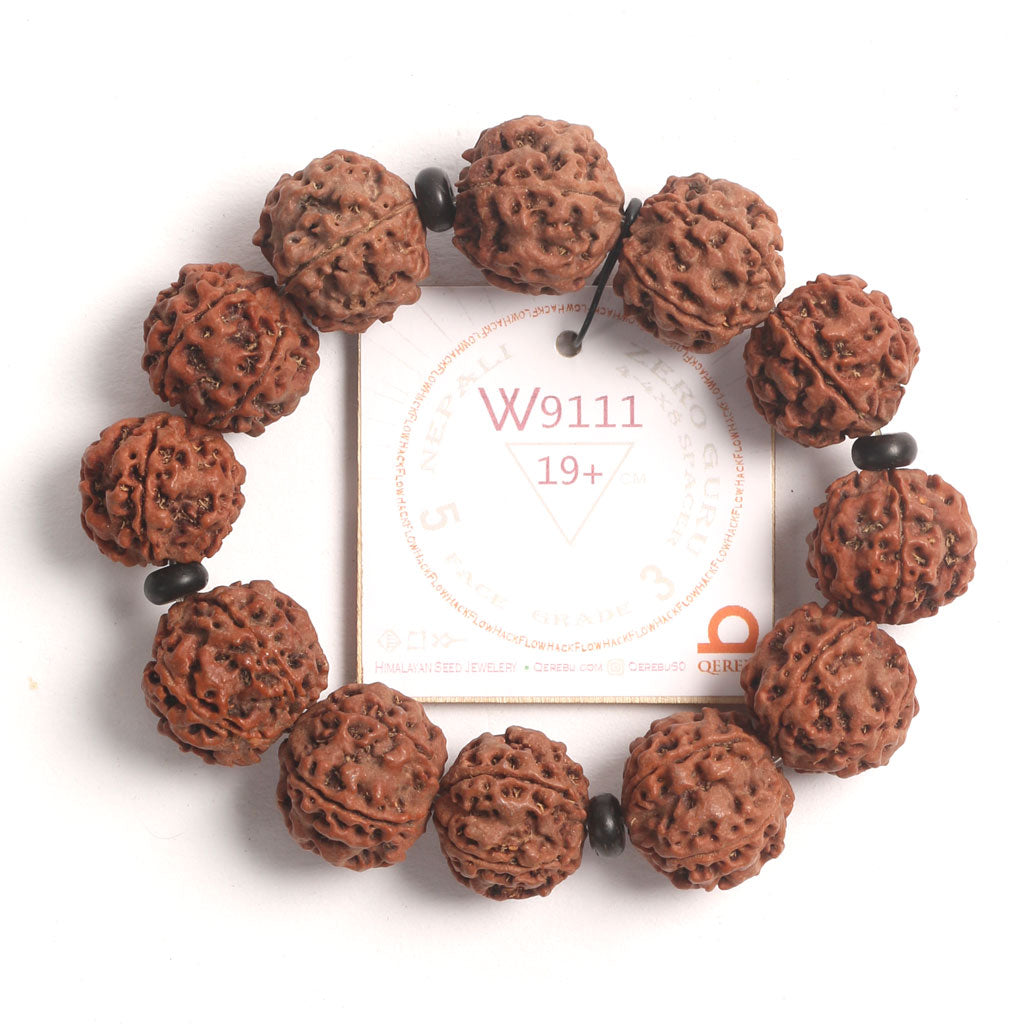 ZeroG Oath Ring (12 Rudraksha • 19+ cm Fit) | Class B | No. P1511