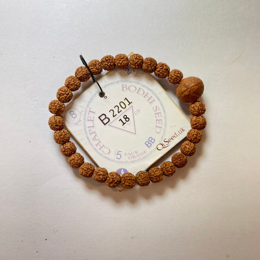 B2201 - Bodhi Seed Chaplet   18 cm  L