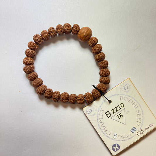 B2210 - Bodhi Seed Chaplet   18 cm  L