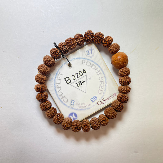 B2204 - Bodhi Seed Chaplet   18+ cm  L