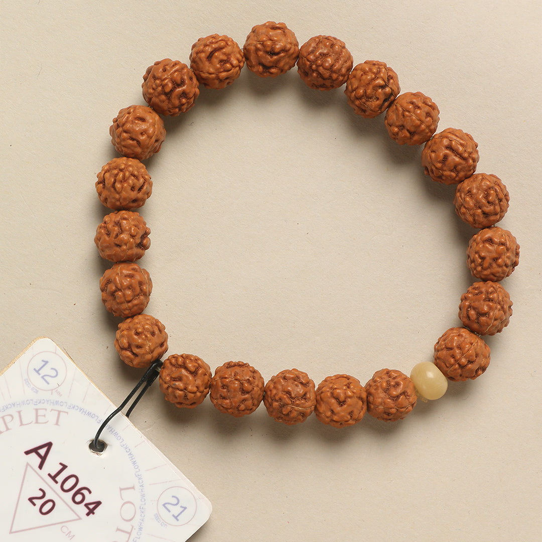 A1064 - Lotus Root Chaplet   20 cm  XL