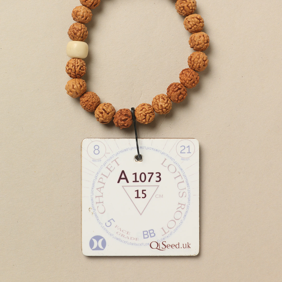 A1073 - Lotus Root Chaplet   15 cm  S+