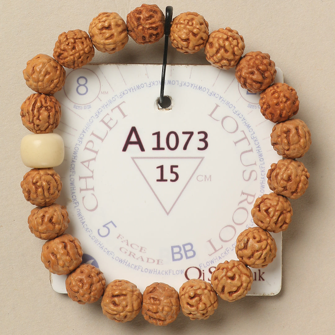 A1073 - Lotus Root Chaplet   15 cm  S+